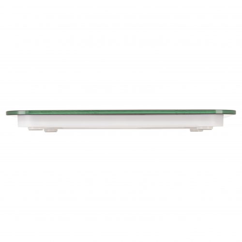 BodiSure BWS100 Weight Scales